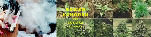не бодяженный Дмитров