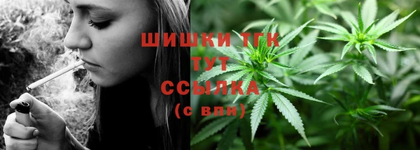 не бодяженный Дмитриев