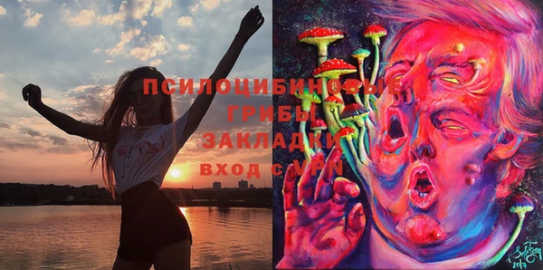 гашишное масло Дмитровск