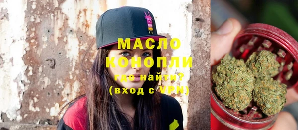 тгк Ельня