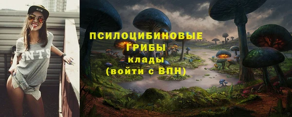 не бодяженный Дмитров