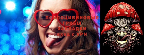 не бодяженный Дмитров